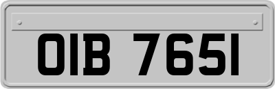 OIB7651
