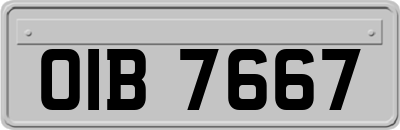 OIB7667