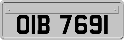 OIB7691