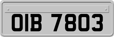 OIB7803