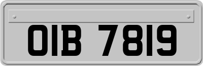 OIB7819