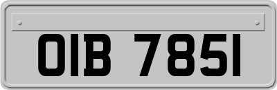 OIB7851