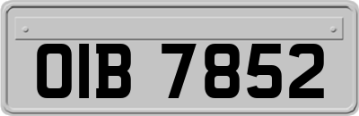 OIB7852