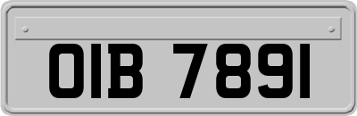 OIB7891