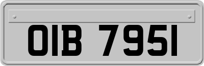 OIB7951