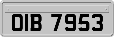 OIB7953