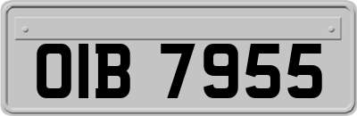 OIB7955