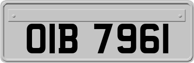 OIB7961