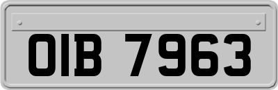 OIB7963