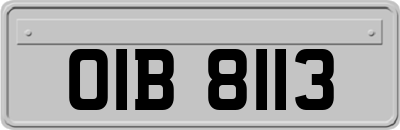 OIB8113