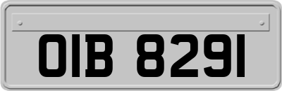 OIB8291