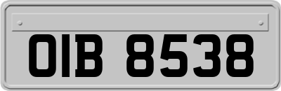 OIB8538
