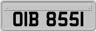 OIB8551