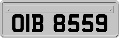 OIB8559
