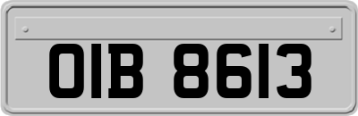 OIB8613