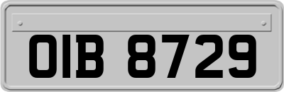 OIB8729