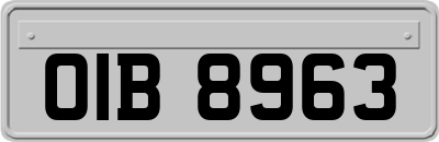 OIB8963