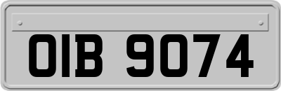 OIB9074