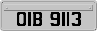 OIB9113
