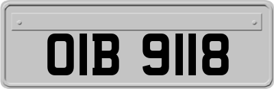 OIB9118