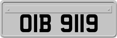 OIB9119