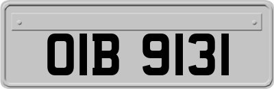 OIB9131