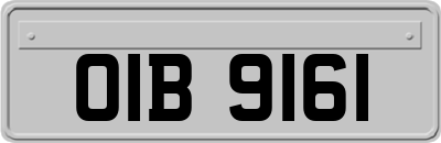 OIB9161
