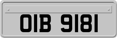 OIB9181