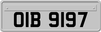 OIB9197