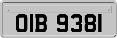 OIB9381