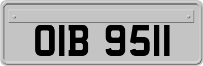 OIB9511