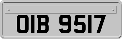 OIB9517