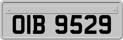 OIB9529