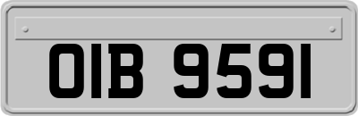 OIB9591