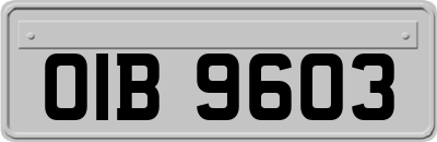 OIB9603