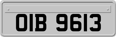 OIB9613