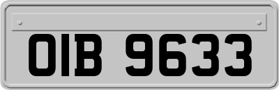 OIB9633