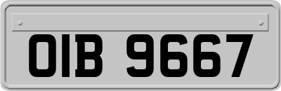 OIB9667