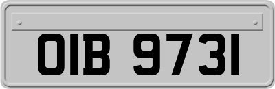 OIB9731