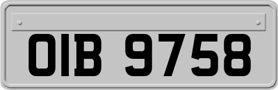 OIB9758