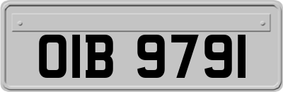 OIB9791