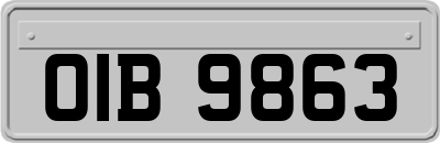 OIB9863