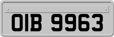 OIB9963