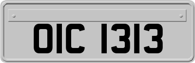 OIC1313
