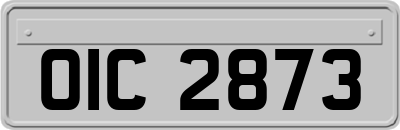 OIC2873