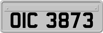 OIC3873