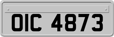 OIC4873
