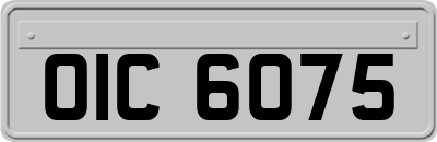 OIC6075
