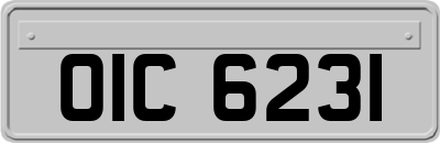 OIC6231