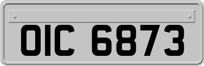 OIC6873